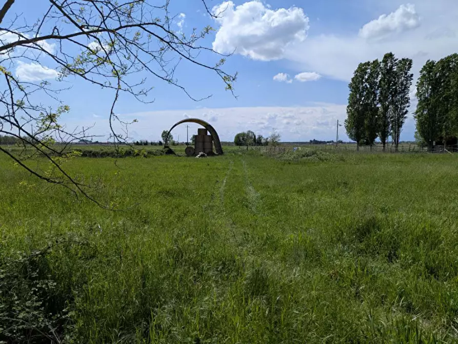 Immagine 14 di Agriturismo in vendita  in Cascina Moretta, 1, 28015 Momo NO, Italia a Momo