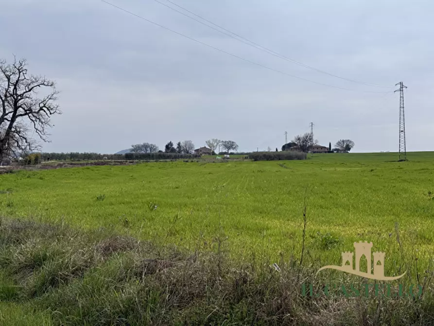 Immagine 2 di Terreno in vendita  in via giovanni verga a Castiglione Del Lago