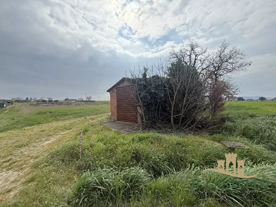 Immagine 3 di Terreno in vendita  in via giovanni verga a Castiglione Del Lago