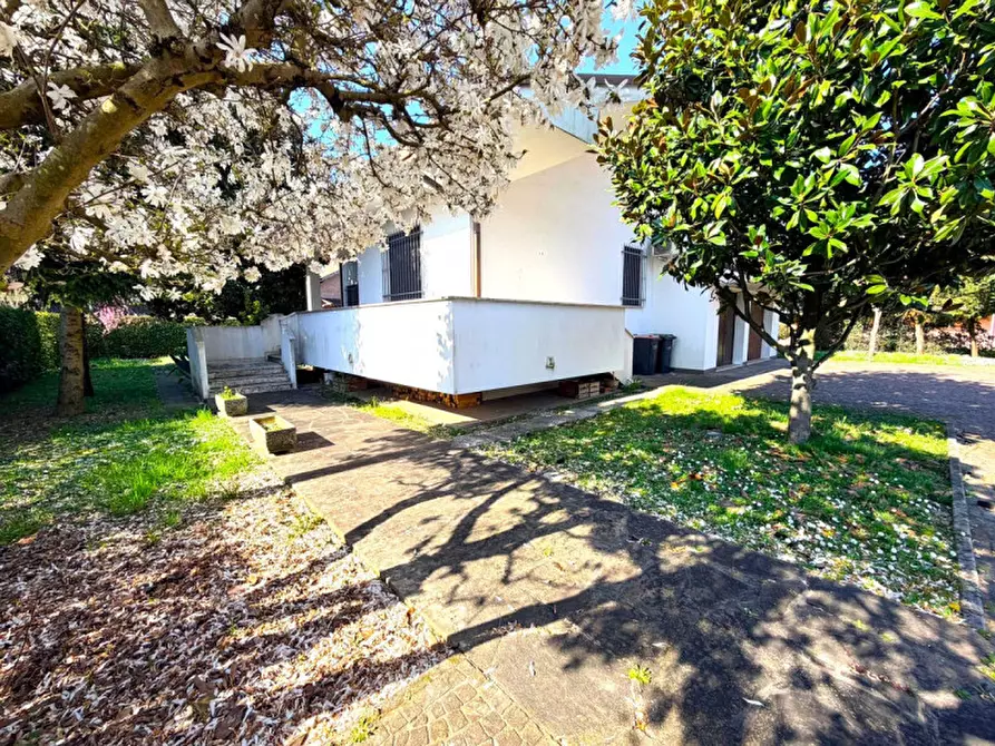 Immagine 3 di Villa in vendita  in Via Santa Monica a Albignasego