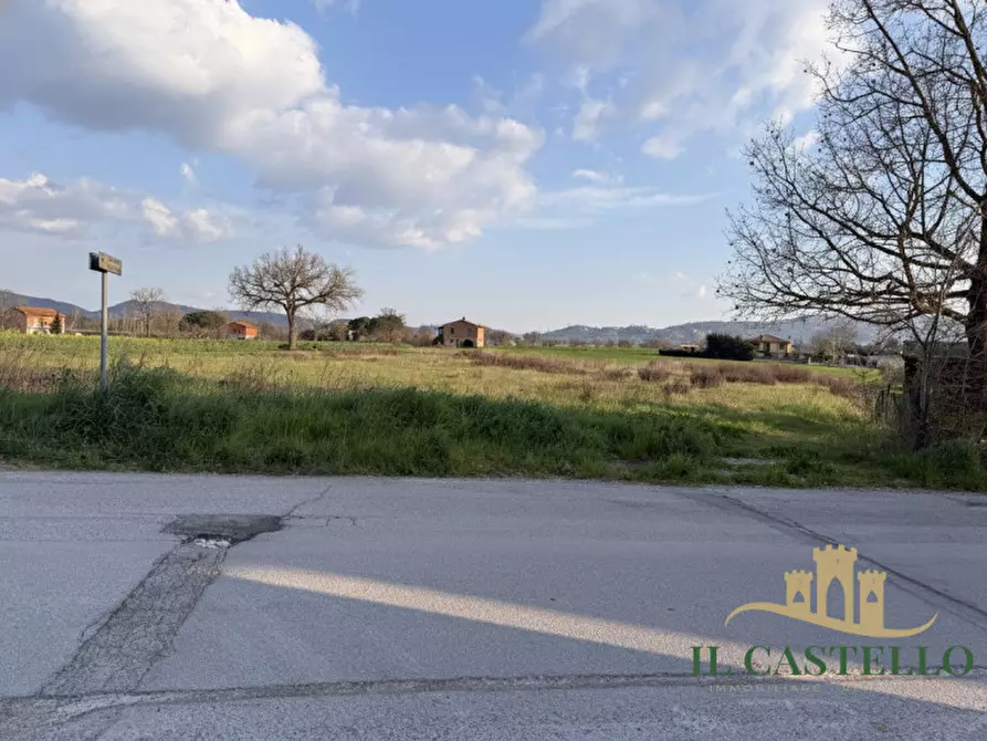 Immagine 2 di Terreno in vendita  in VIALE II AGOSTO a Castiglione Del Lago