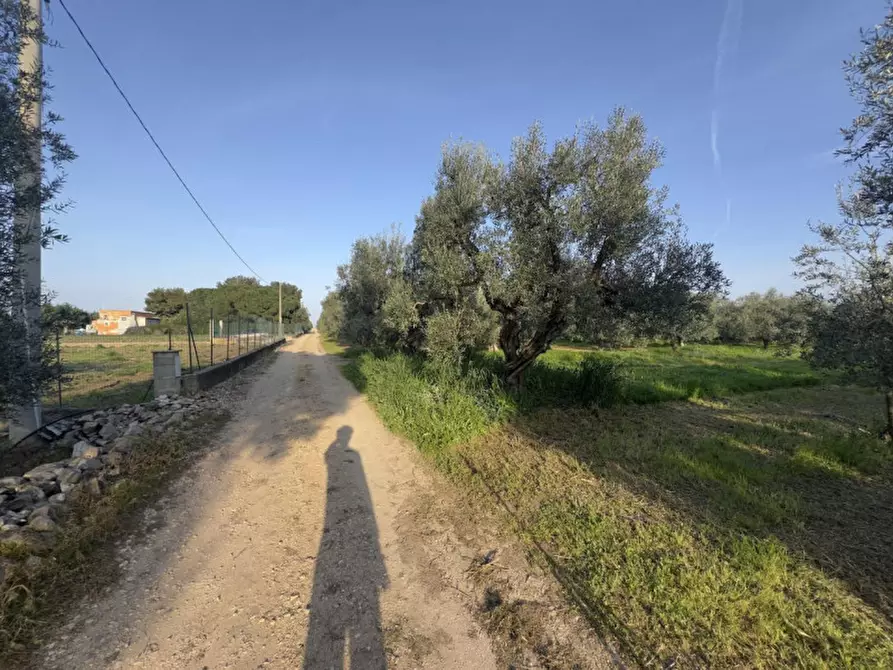 Immagine 3 di Terreno in vendita  in Andria Troianello Montegrosso, 76123 Andria BT, Italia a Andria