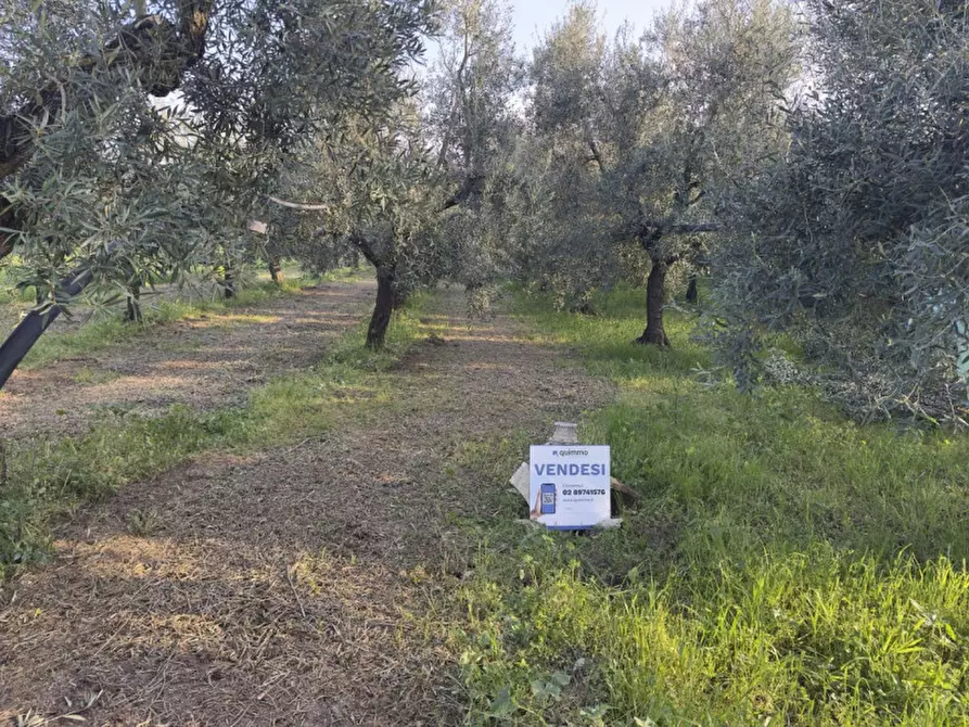 Immagine 5 di Terreno in vendita  in Andria Troianello Montegrosso, 76123 Andria BT, Italia a Andria