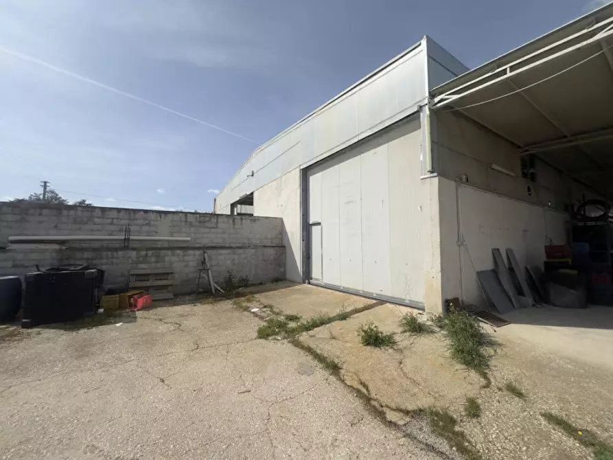 Immagine 1 di Capannone industriale in vendita  in SP231, Trani BT, Italia a Trani