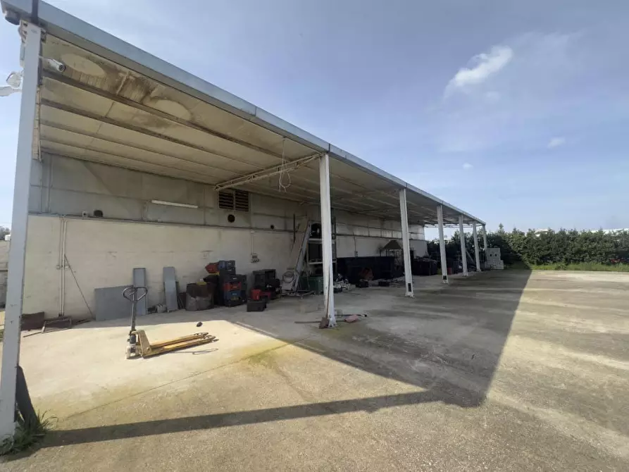 Immagine 2 di Capannone industriale in vendita  in SP231, Trani BT, Italia a Trani
