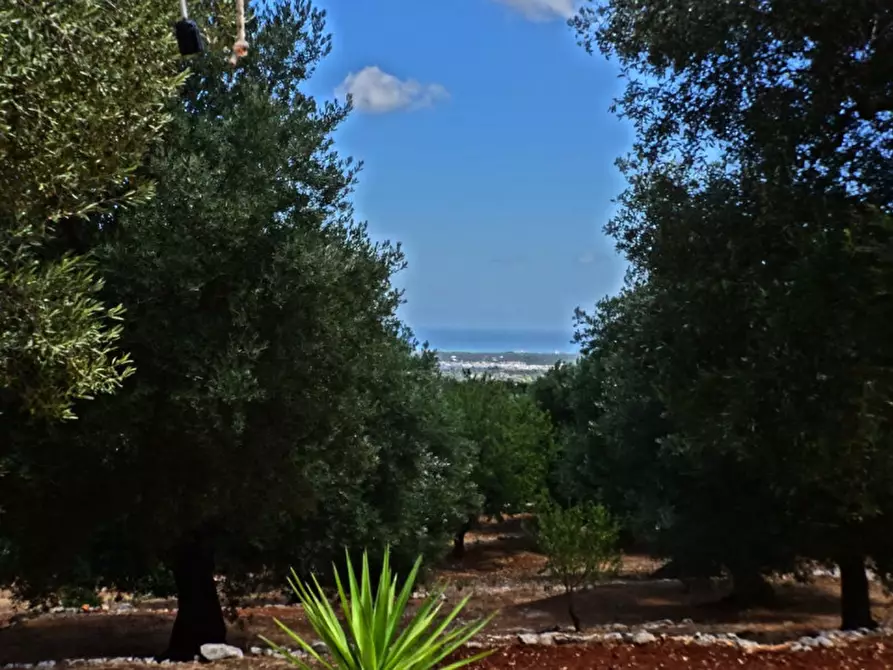 Immagine 1 di Rustico / casale in vendita  in Viale Delle ginestre a Fasano
