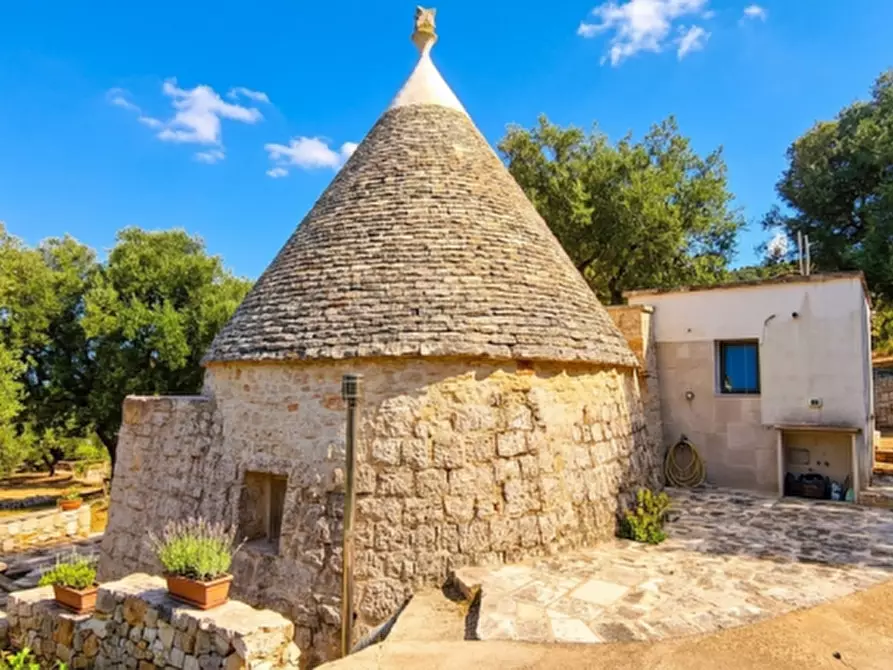 Immagine 5 di Rustico / casale in vendita  in Viale Delle ginestre a Fasano
