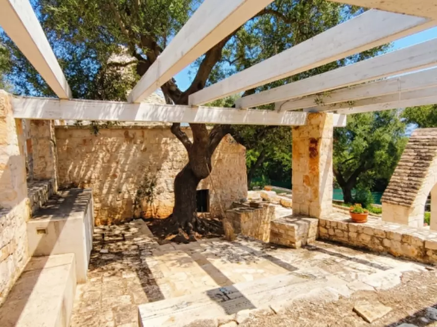 Immagine 6 di Rustico / casale in vendita  in Viale Delle ginestre a Fasano