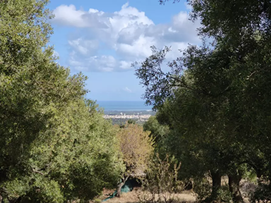 Immagine 9 di Rustico / casale in vendita  in Viale Delle ginestre a Fasano