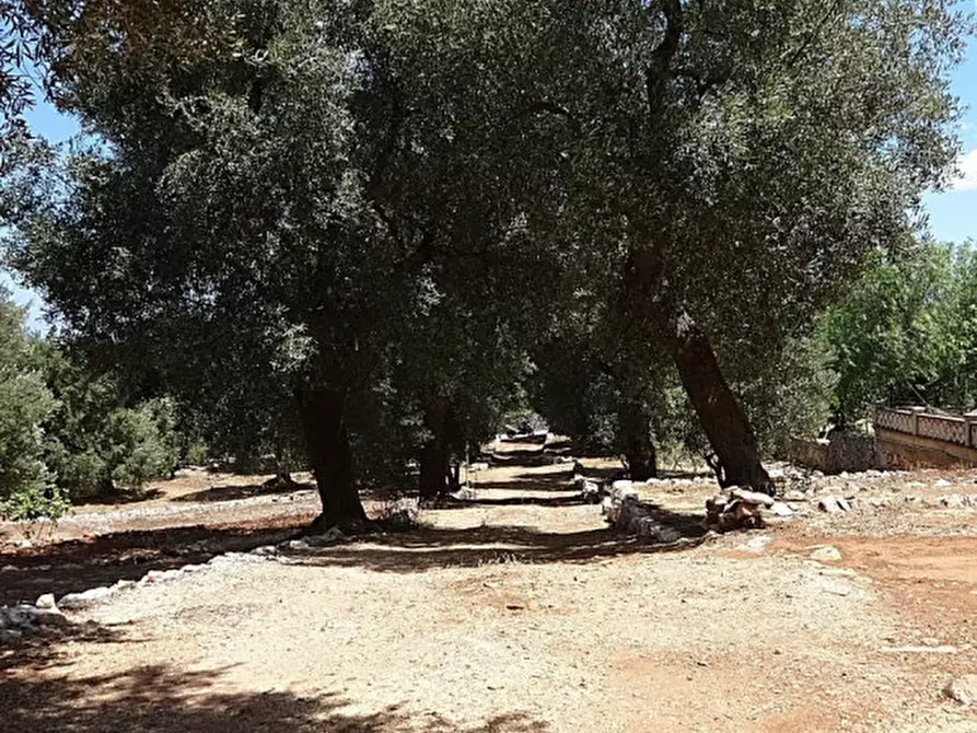 Immagine 20 di Rustico / casale in vendita  in Viale Delle ginestre a Fasano