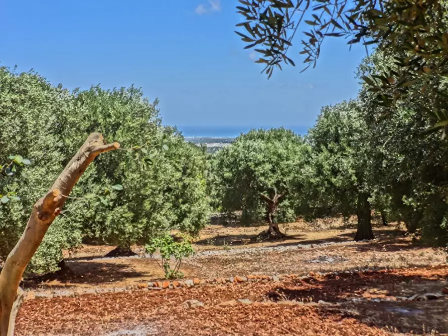 Immagine 21 di Rustico / casale in vendita  in Viale Delle ginestre a Fasano