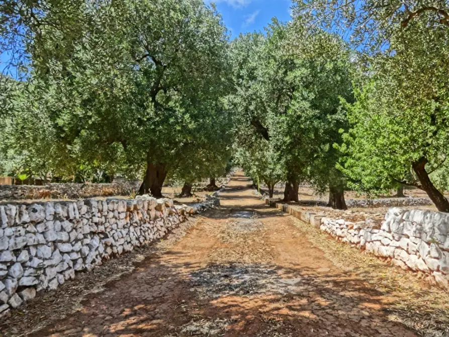 Immagine 22 di Rustico / casale in vendita  in Viale Delle ginestre a Fasano