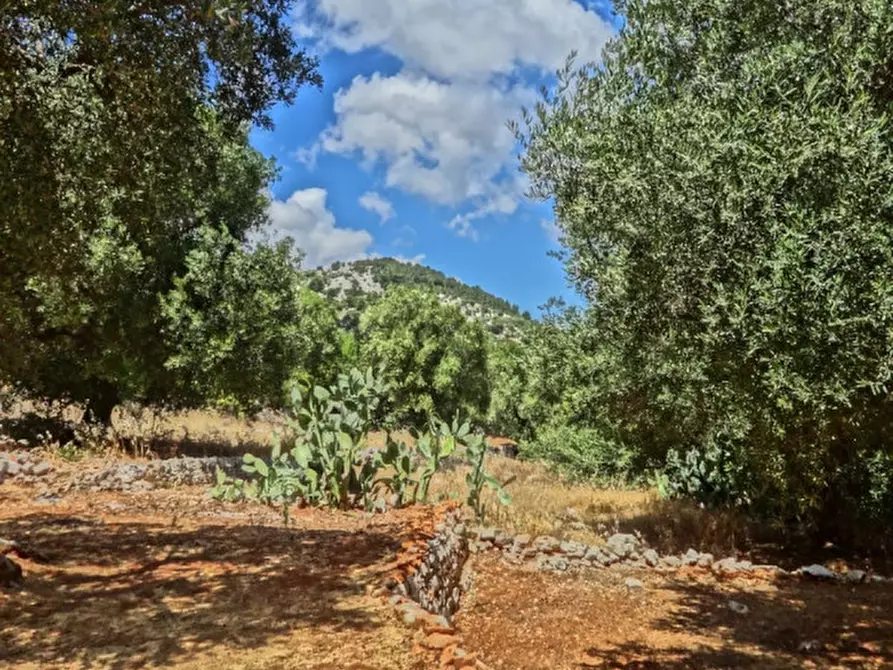 Immagine 23 di Rustico / casale in vendita  in Viale Delle ginestre a Fasano