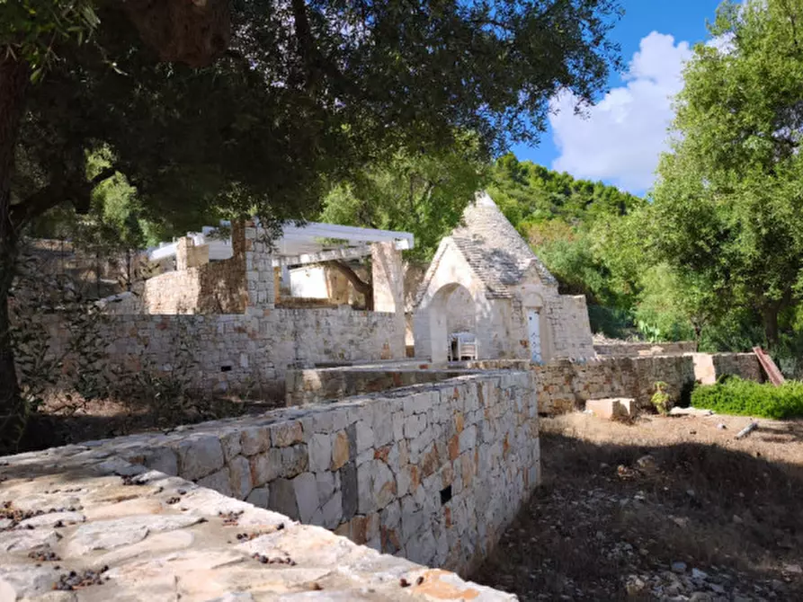 Immagine 26 di Rustico / casale in vendita  in Viale Delle ginestre a Fasano