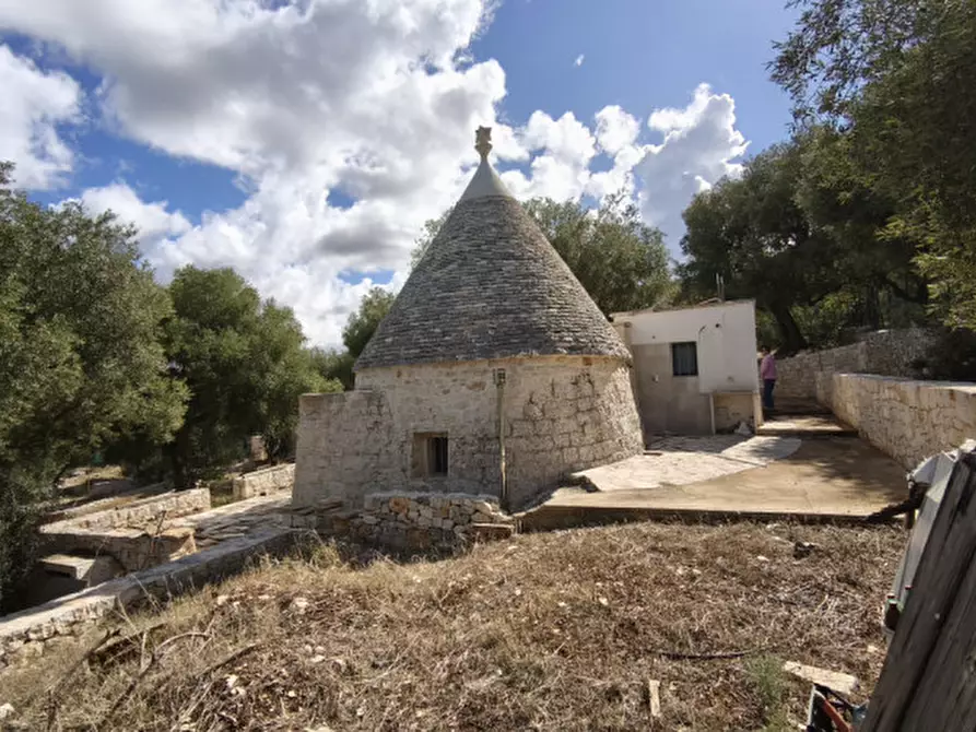 Immagine 31 di Rustico / casale in vendita  in Viale Delle ginestre a Fasano