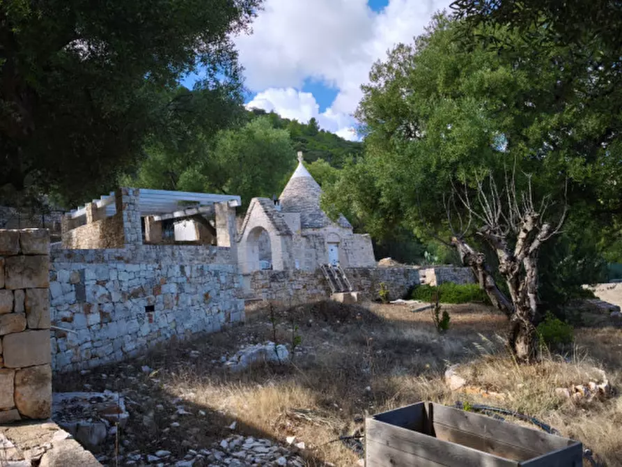 Immagine 35 di Rustico / casale in vendita  in Viale Delle ginestre a Fasano