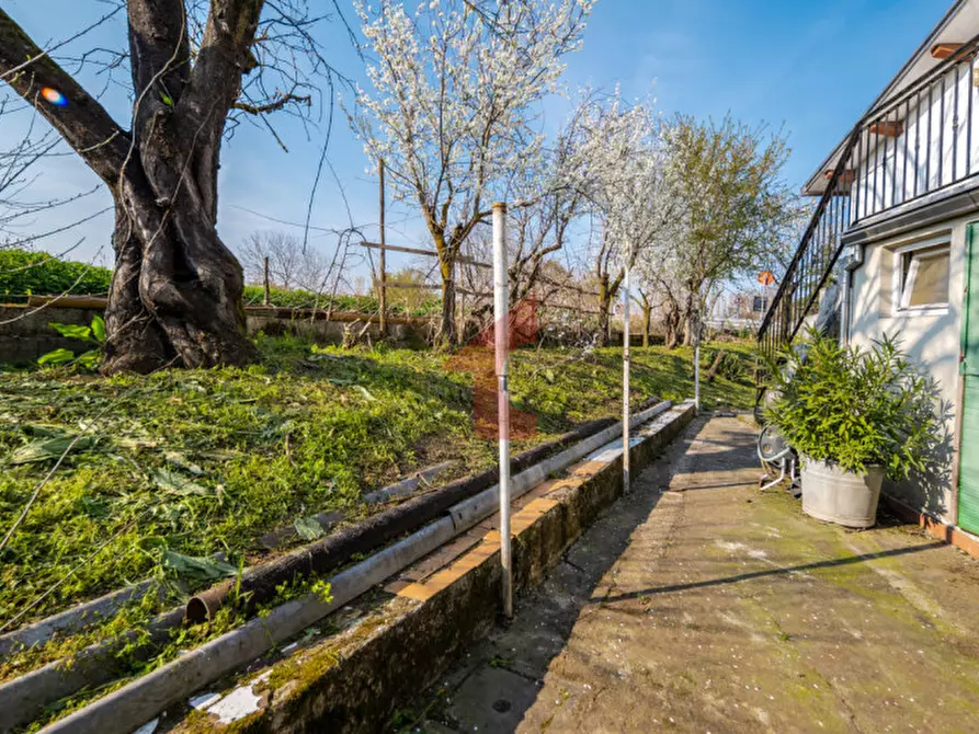 Immagine 33 di Villa in vendita  in strada sabbioni 32 a Fontanellato