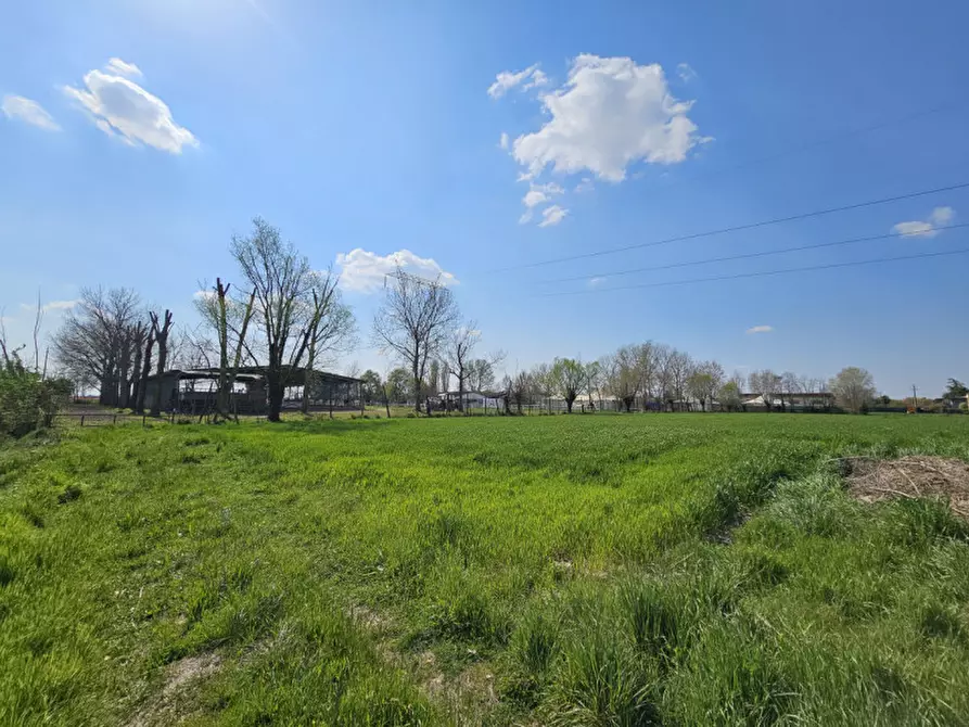 Immagine 2 di Terreno in vendita  in VIATRESTO a Ponso