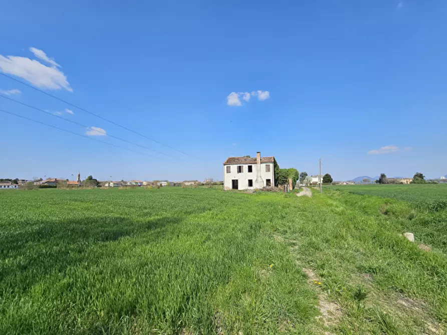 Immagine 7 di Terreno in vendita  in VIATRESTO a Ponso