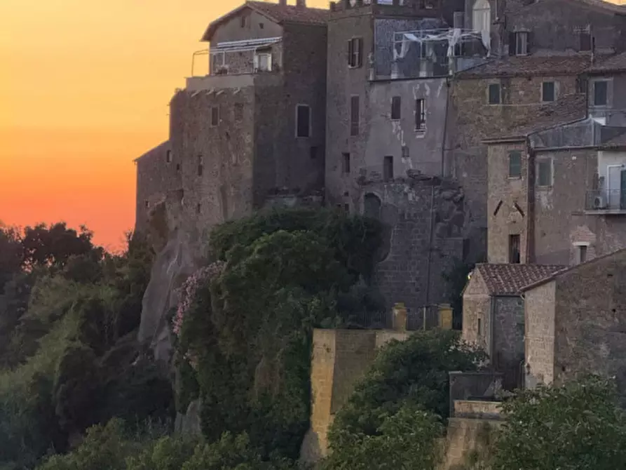 Immagine 22 di Villa in vendita  in Via Cuzzoli e Cortellessa a Farnese