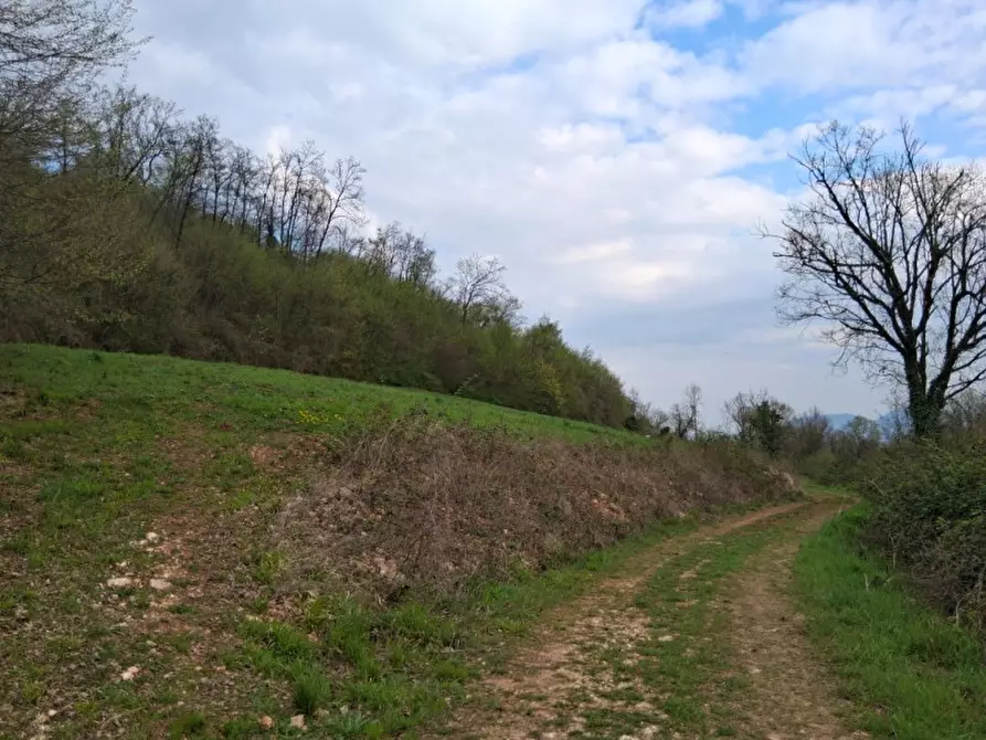 Immagine 2 di Terreno in vendita  in Via Torretta a Nanto