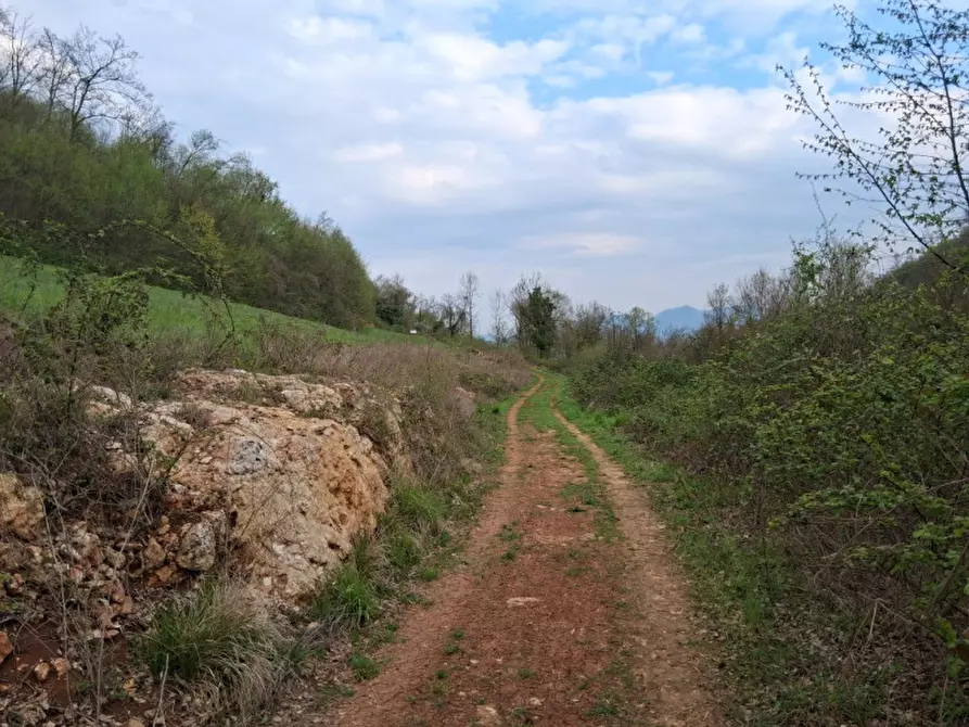 Immagine 3 di Terreno in vendita  in Via Torretta a Nanto