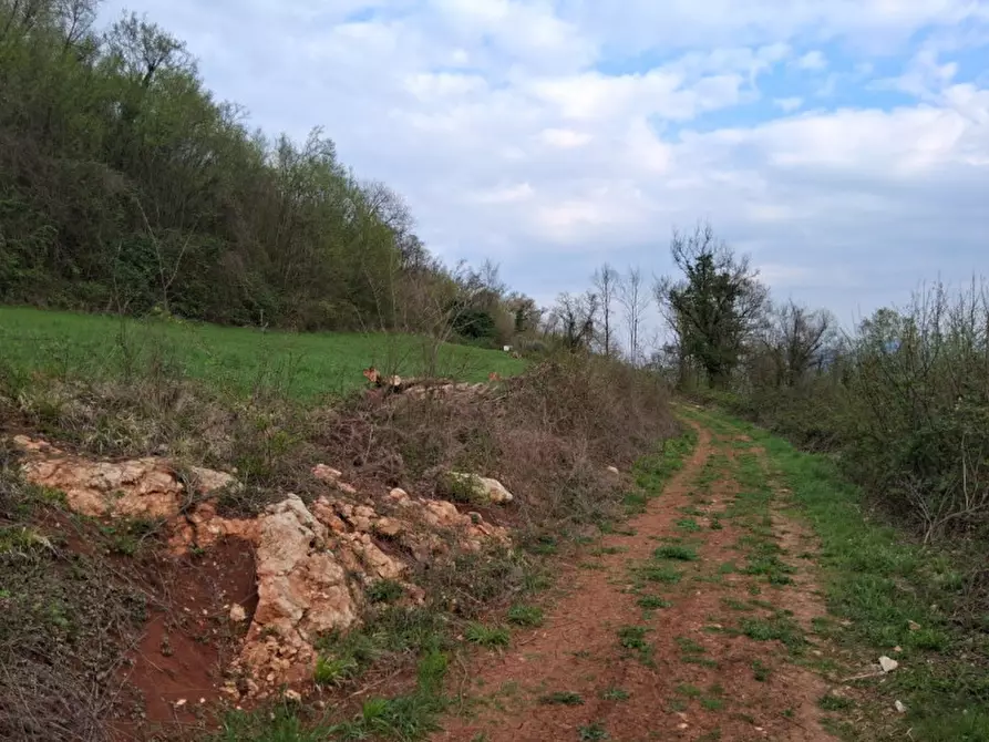 Immagine 4 di Terreno in vendita  in Via Torretta a Nanto