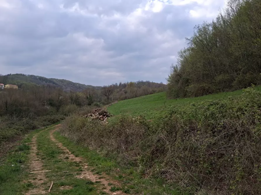 Immagine 5 di Terreno in vendita  in Via Torretta a Nanto