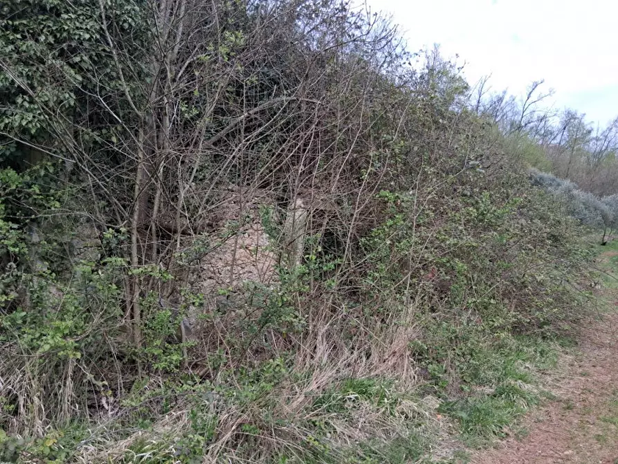 Immagine 6 di Terreno in vendita  in Via Torretta a Nanto