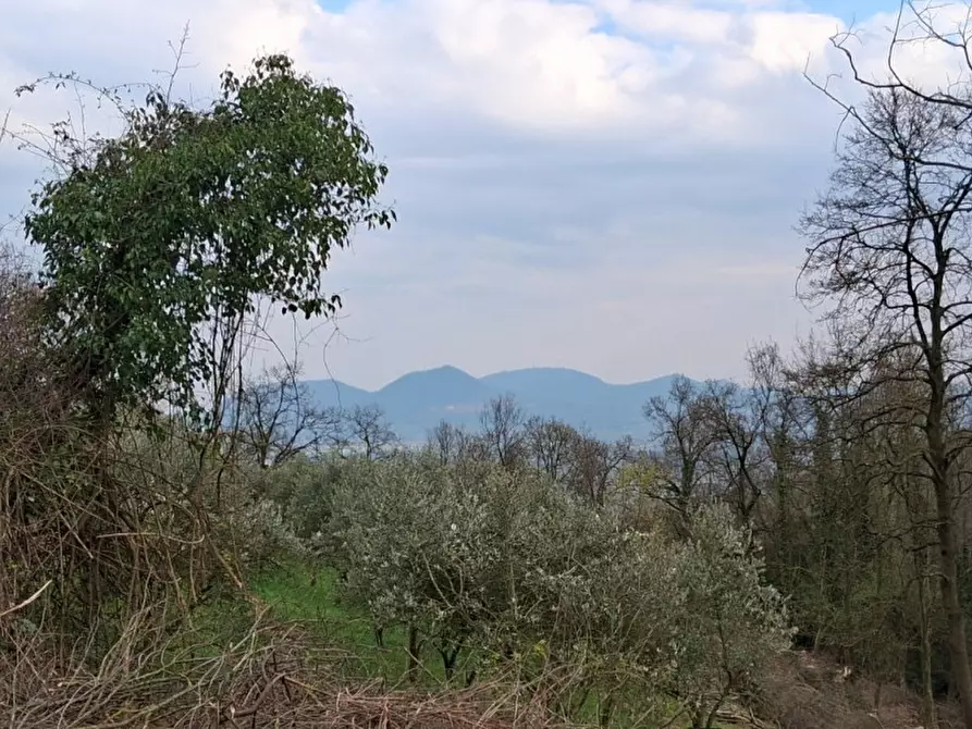 Immagine 7 di Terreno in vendita  in Via Torretta a Nanto