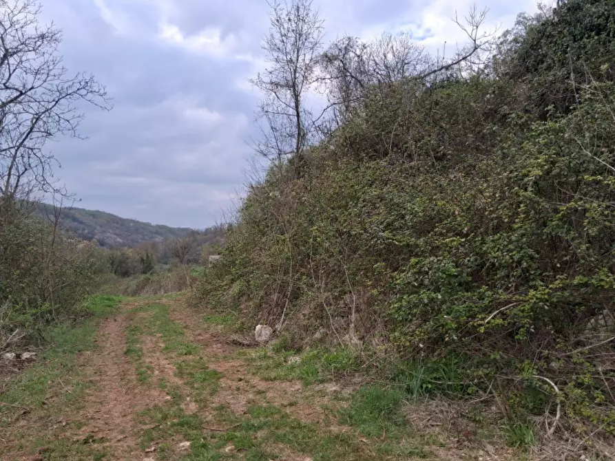 Immagine 8 di Terreno in vendita  in Via Torretta a Nanto