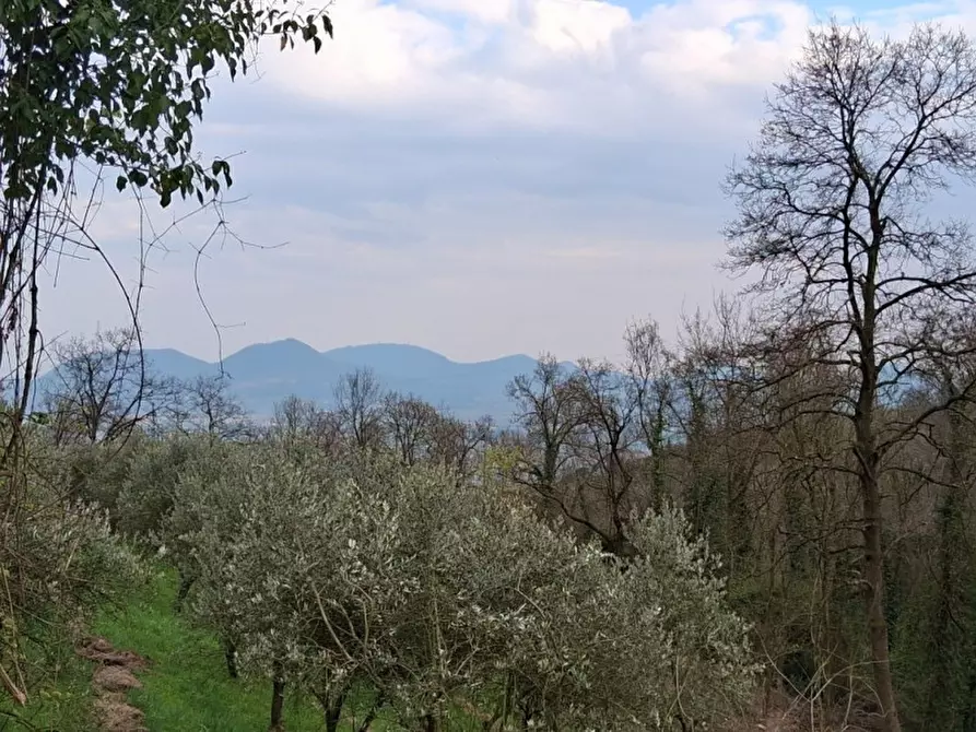 Immagine 10 di Terreno in vendita  in Via Torretta a Nanto