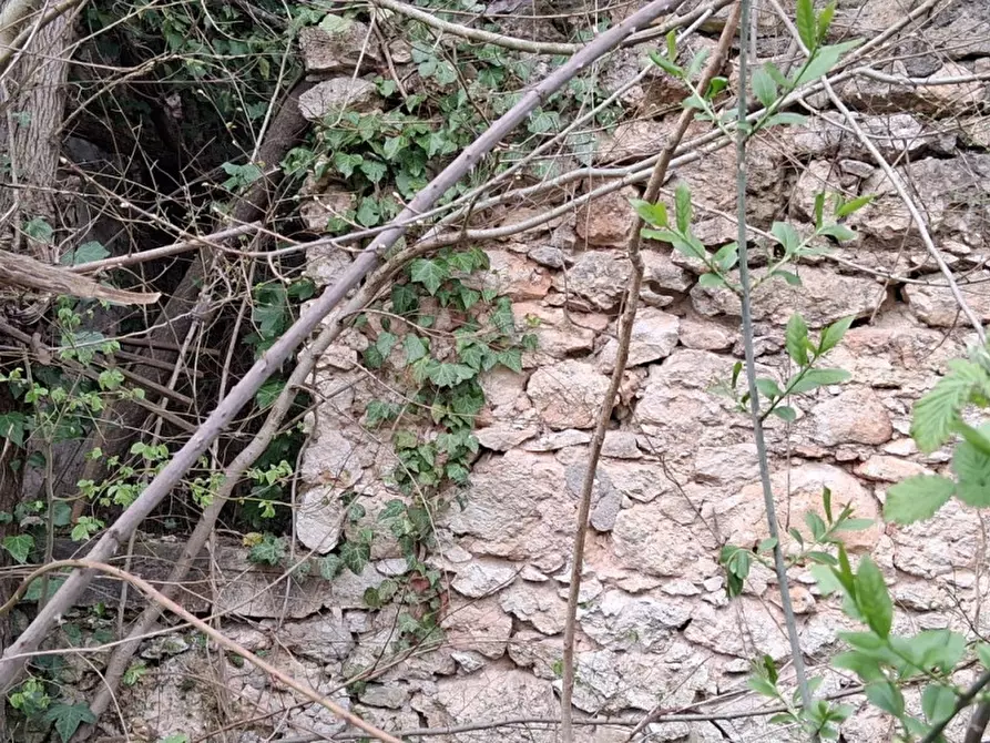Immagine 11 di Terreno in vendita  in Via Torretta a Nanto