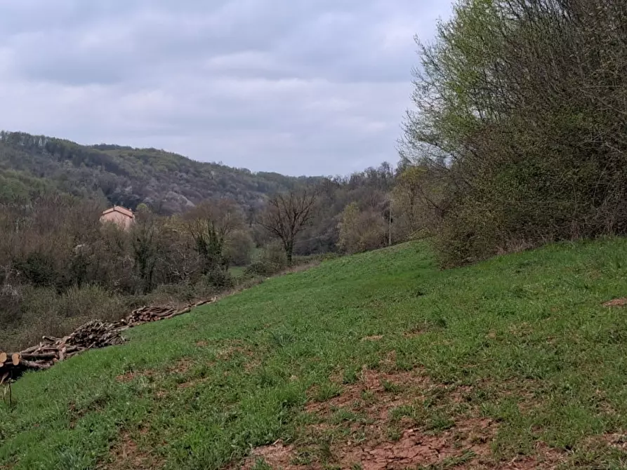 Immagine 12 di Terreno in vendita  in Via Torretta a Nanto