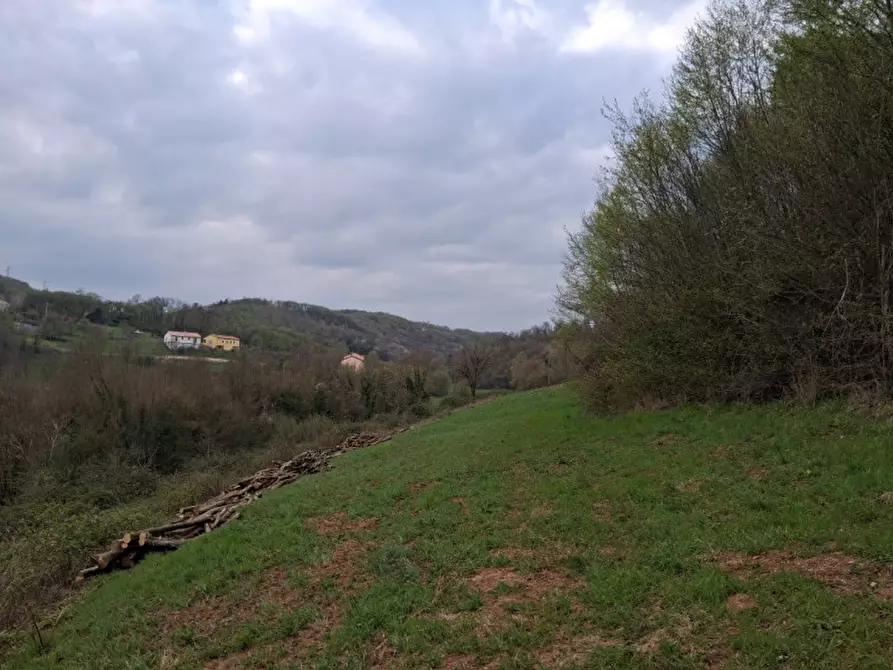Immagine 13 di Terreno in vendita  in Via Torretta a Nanto