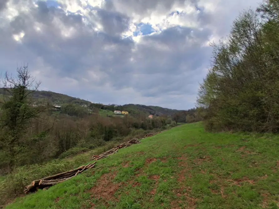 Immagine 14 di Terreno in vendita  in Via Torretta a Nanto
