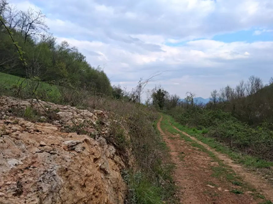 Immagine 16 di Terreno in vendita  in Via Torretta a Nanto