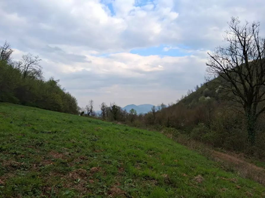 Immagine 17 di Terreno in vendita  in Via Torretta a Nanto
