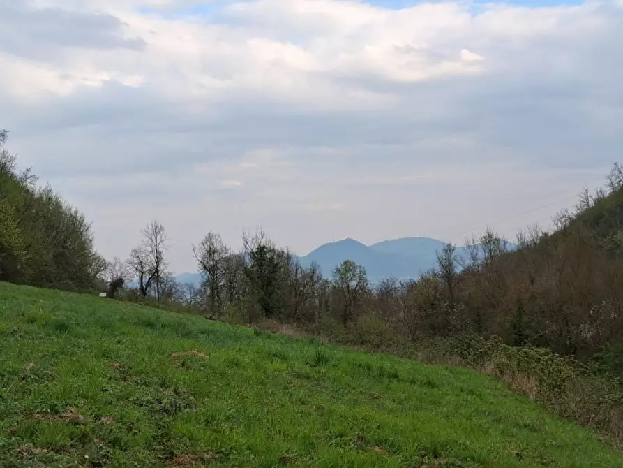 Immagine 18 di Terreno in vendita  in Via Torretta a Nanto