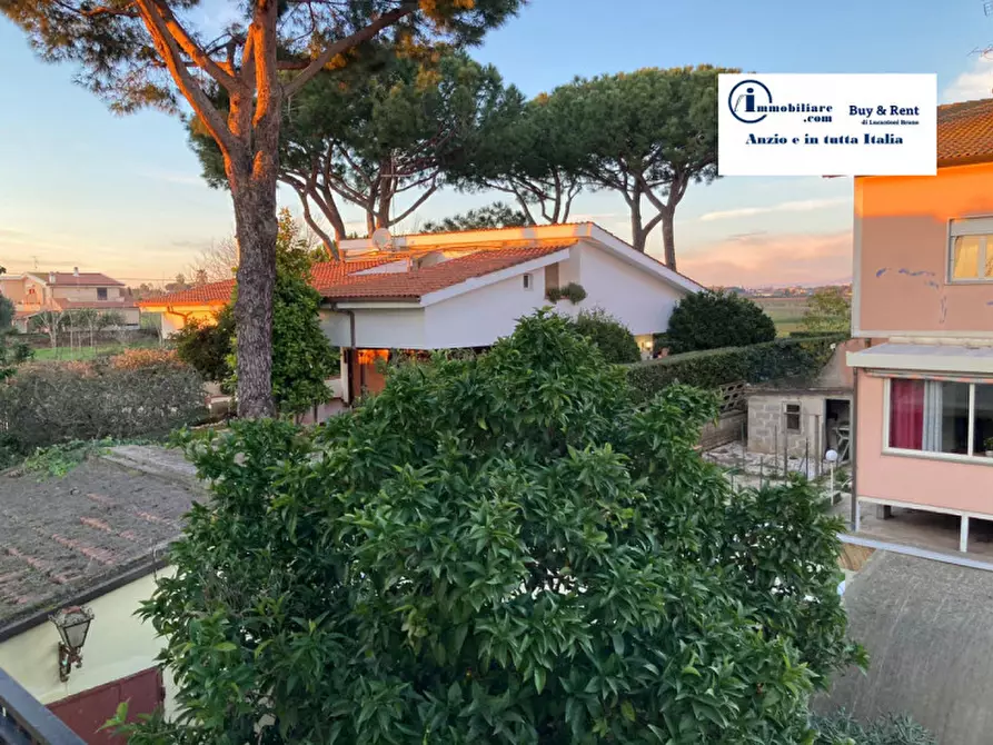Immagine 12 di Villa in vendita  in via montelivata a Nettuno