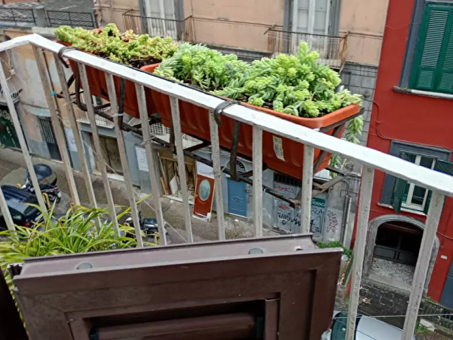 Immagine 13 di Camera in affitto  in via Salvator Rosa 56 a Napoli