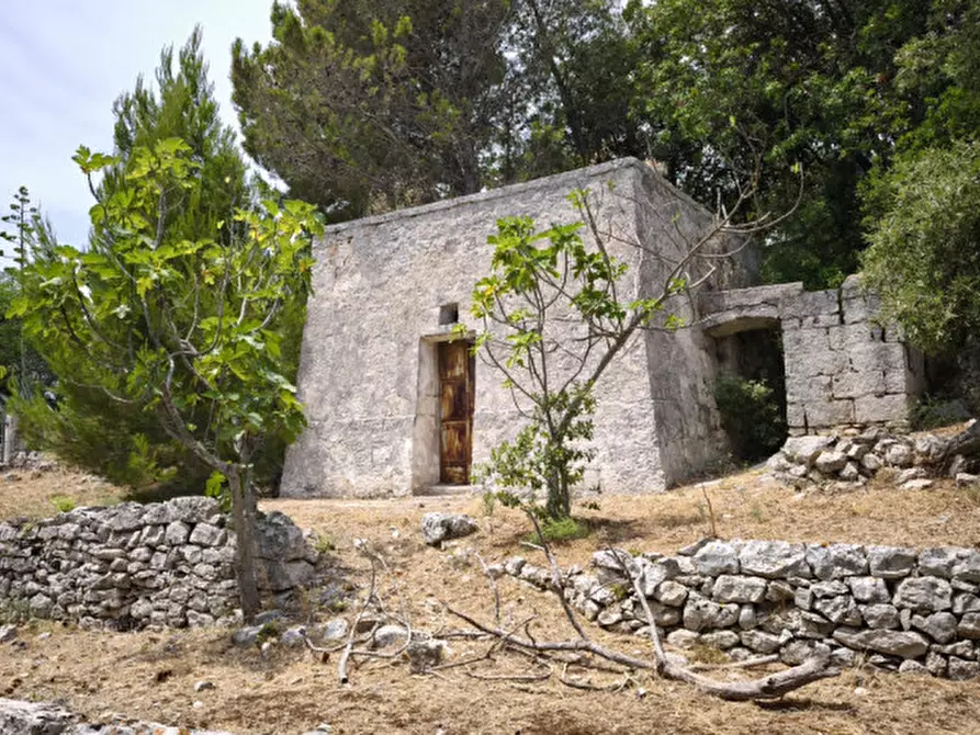 Immagine 1 di Rustico / casale in vendita  a Fasano