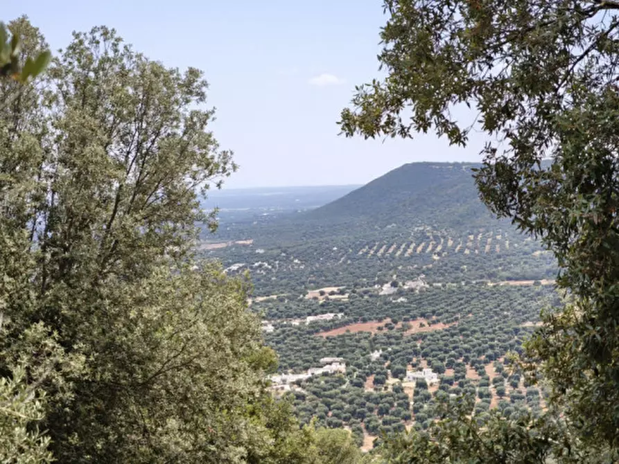 Immagine 2 di Rustico / casale in vendita  a Fasano