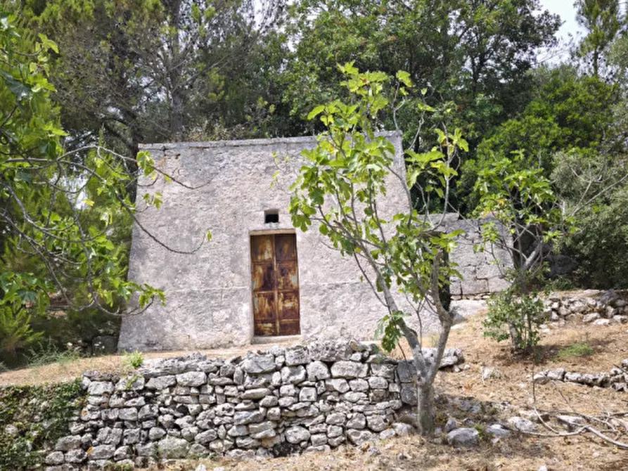 Immagine 3 di Rustico / casale in vendita  a Fasano