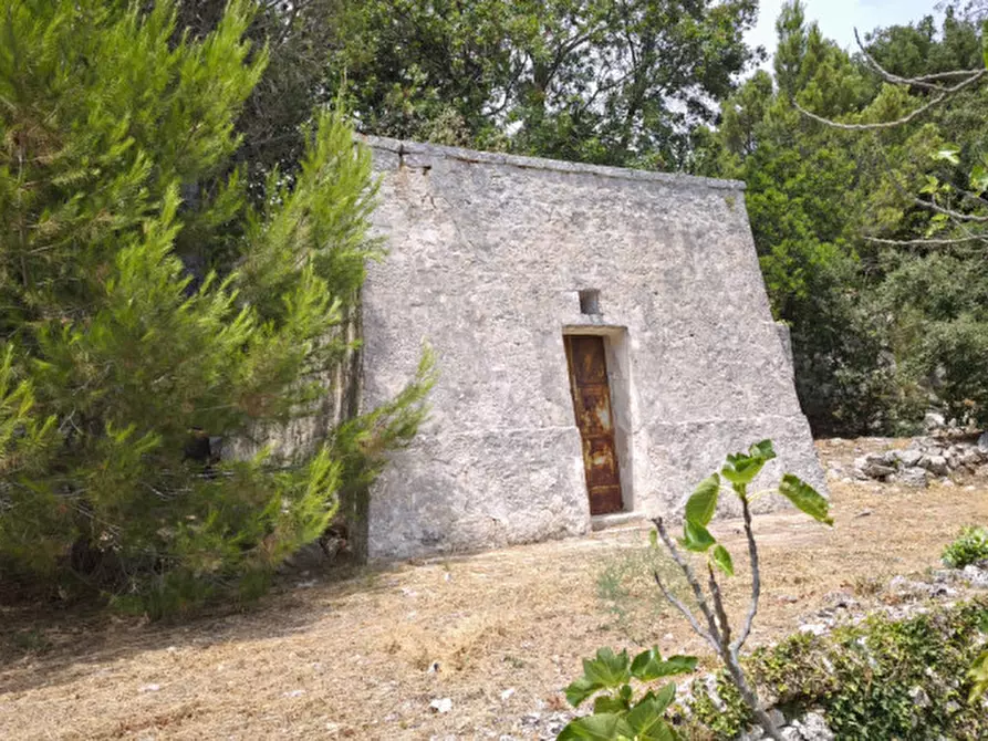 Immagine 4 di Rustico / casale in vendita  a Fasano