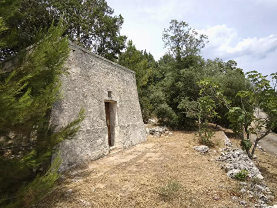 Immagine 5 di Rustico / casale in vendita  a Fasano