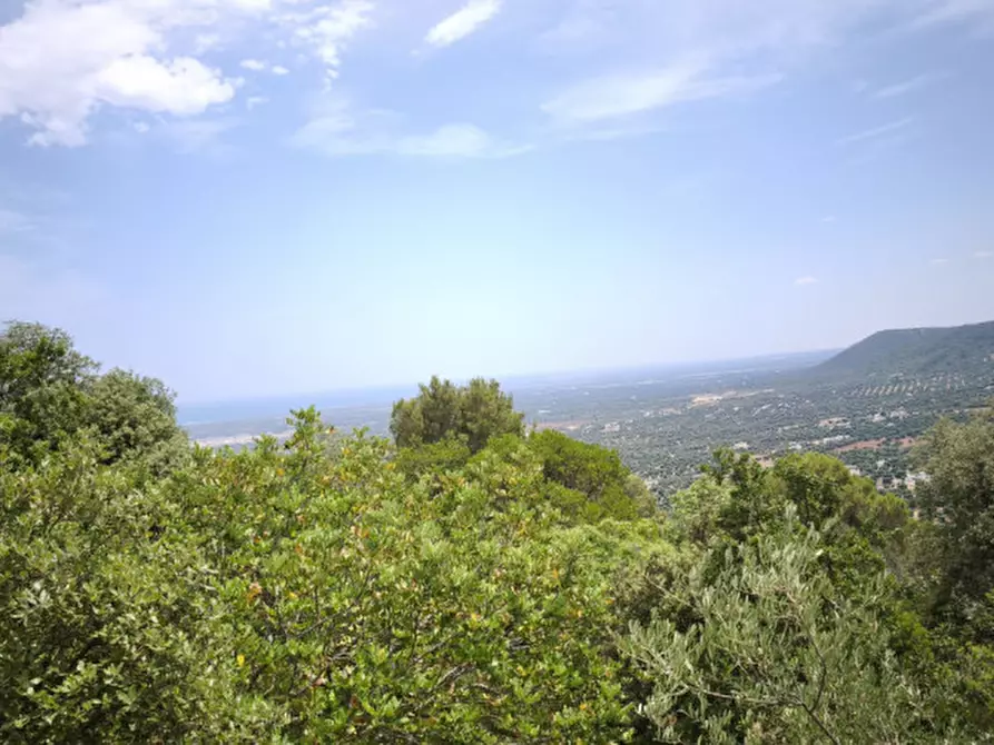 Immagine 6 di Rustico / casale in vendita  a Fasano