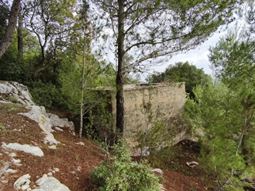 Immagine 7 di Rustico / casale in vendita  a Fasano