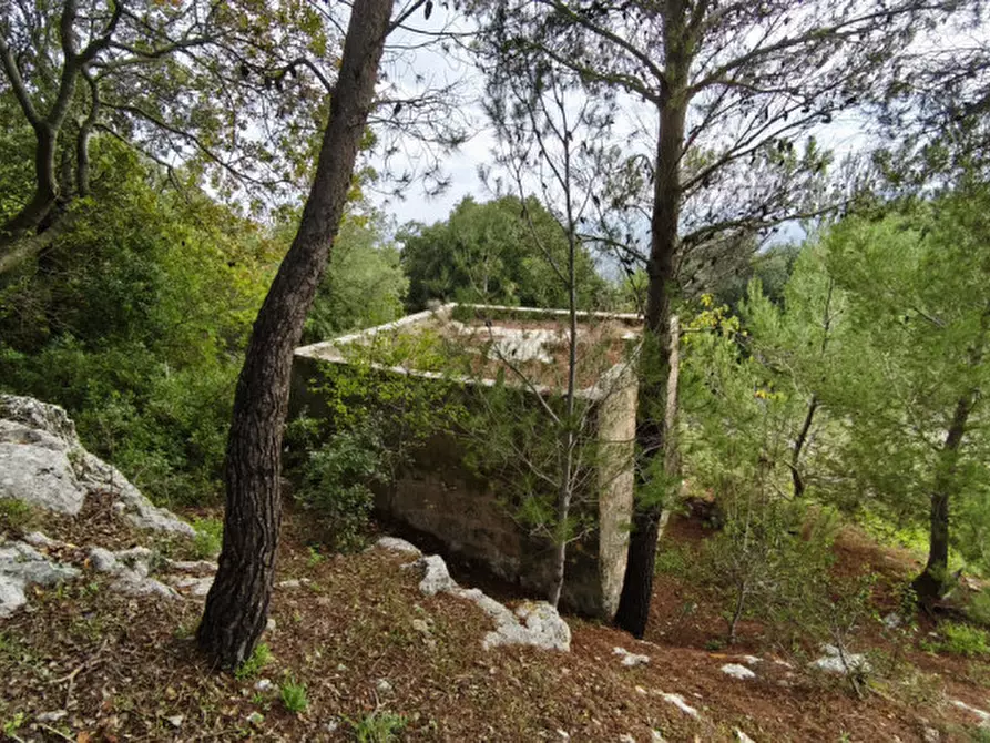 Immagine 8 di Rustico / casale in vendita  a Fasano