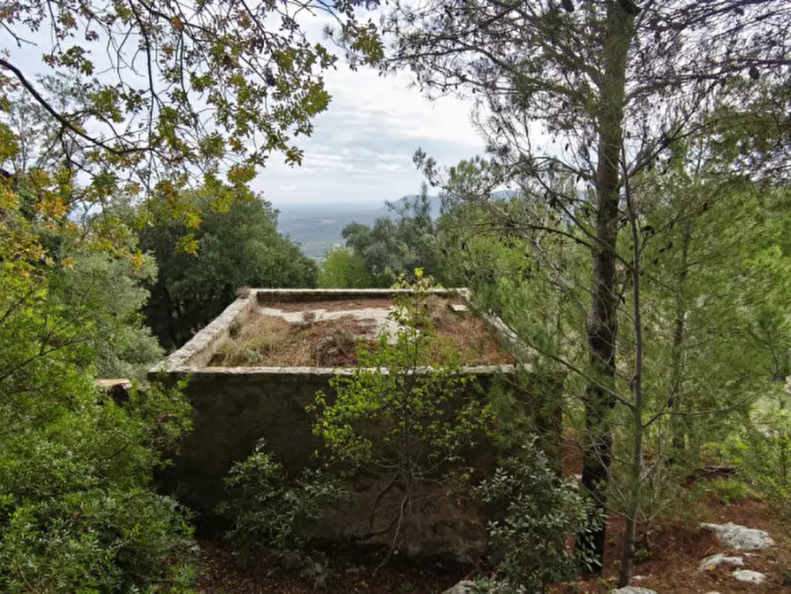 Immagine 9 di Rustico / casale in vendita  a Fasano